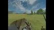 test Mount & Blade