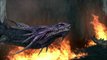 Vido #31 - Attention aux dragons