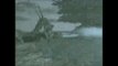Vido #10 - Dagobah