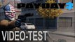 VidoTest de Payday 2