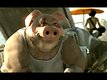   Beyond Good & Evil 2  : sortira, sortira pas ?