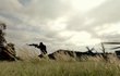 ArmA 2