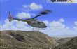 Flight Simulator 10