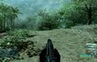 Crysis