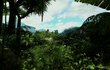 Far Cry 3