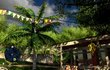 Far Cry 3