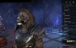 The Elder Scrolls Online : Tamriel Unlimited