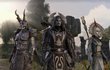 The Elder Scrolls Online : Tamriel Unlimited