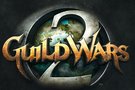 Report du bta test de  Guild Wars 2