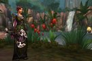   WoW : Wrath Of The Lich King  mi-novembre...