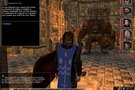   Neverwinter Nights 2  disponible sur Mac