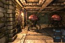 Legend of Grimrock : 600 000 exemplaires vendus