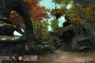 Elder Scrolls 5 : la suite d'Oblivion en cours de dveloppement ?