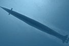   U-Boat Missions  : un addon pour  Silent Hunter IV