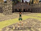  The big chamber