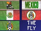  Mexico Flags