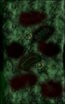  Jungle Madess