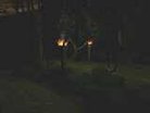  The Jedi Forest Encounter