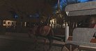  New Orleans by Night