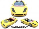  RACEABOUT TMS