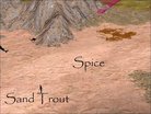  Dune Terrain and Ressources