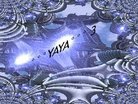  Yaya 3