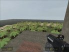  Half-Life 2: DM Tropical Island Map