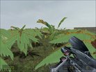  Half-Life 2: DM Tropical Island Map