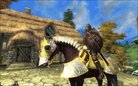  Epic Oblivion - Imperial Patrol Horse Armor