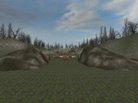  awp_forest