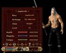  A Playable Sephiroth Character