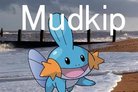  Mudkip 0.1 Beta 7