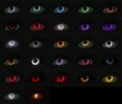  Capucines Character Expansion