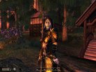  Pretty female dark elf Ahiria SAVEGAME