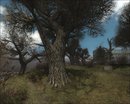  STALKER Weather Overhauled 2.2