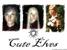  Cute Elves race