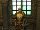  Oblivion finished savegames v11