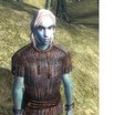  Dark Elf Savegame