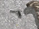  PG's Colt 1911 Skin Pack