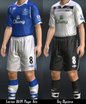  Everton 2008/2009