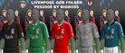  Liverpool 2008-2009