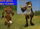  Skin Fox (Tunak)