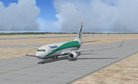  Texture Files Only for the 737-800 FSX