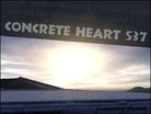  Concrete Heart 537