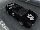  Black Paw Carset