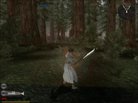  Magic Weapons 2 (version 1.41)