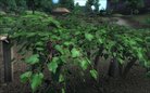  Improved Trees and Flora 2 (1.0)
