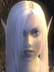  Elves of Lineage II