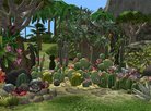  Lot de cactus