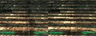  Mimezu Project texture